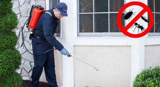 Narman Gümüşkurt İlaçlama böcek ilaçlama ve haşere kontrolü — ilaclama-tr.com